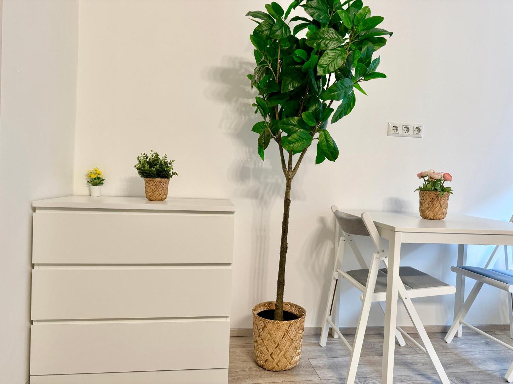 Stylish Schonbrunn Apartments - Free Underground Parking ウィーン エクステリア 写真
