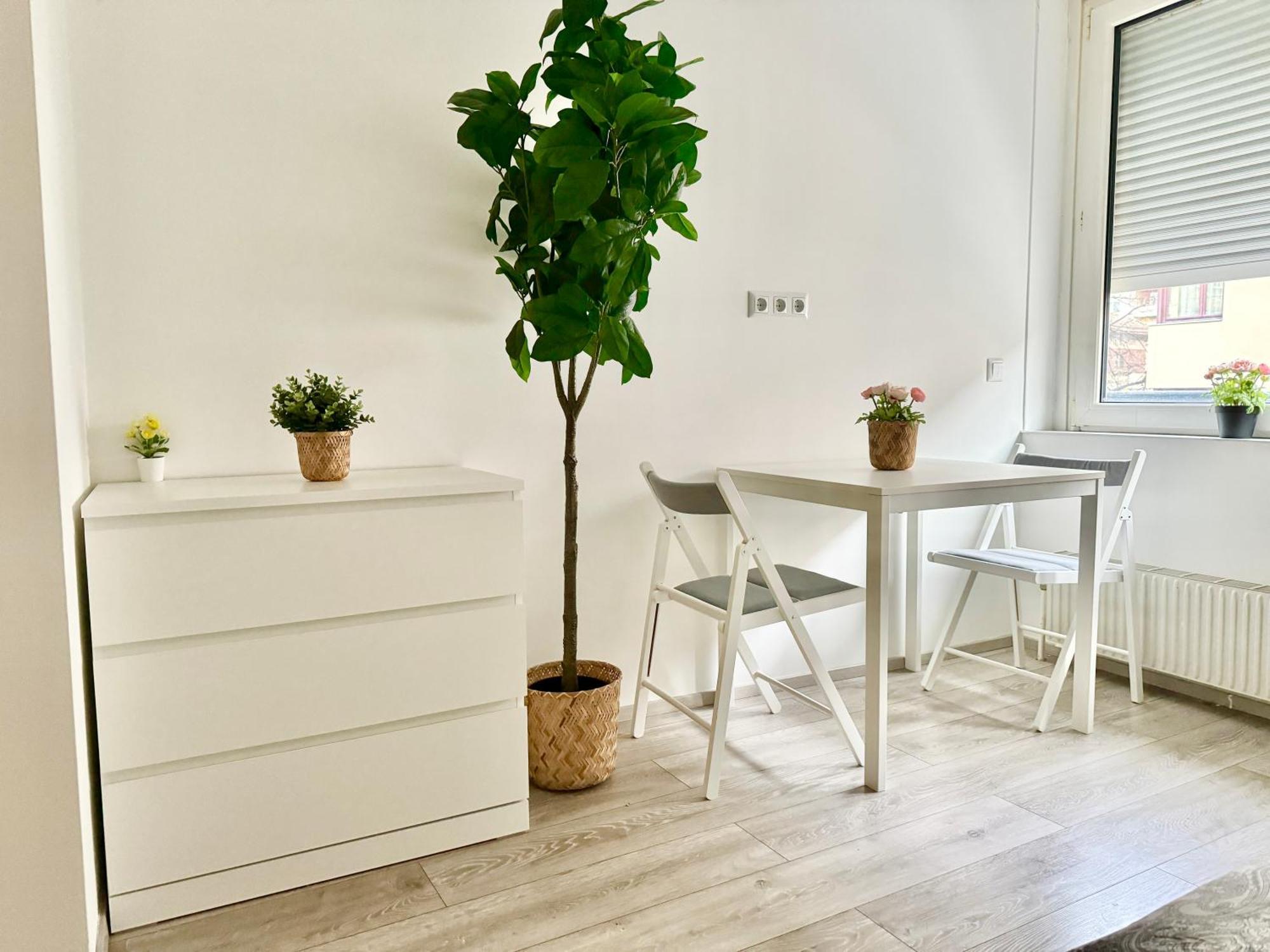 Stylish Schonbrunn Apartments - Free Underground Parking ウィーン エクステリア 写真
