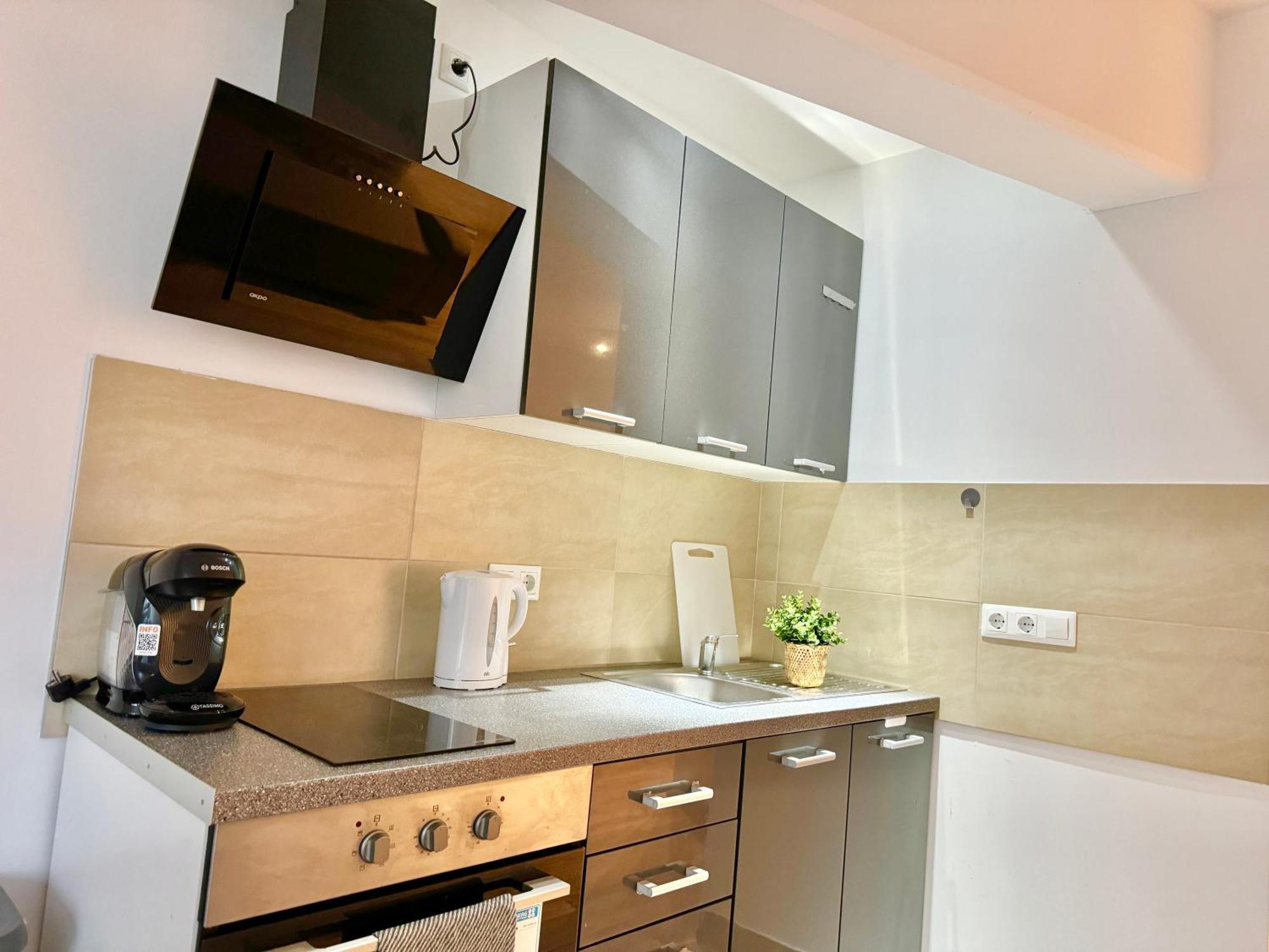 Stylish Schonbrunn Apartments - Free Underground Parking ウィーン エクステリア 写真