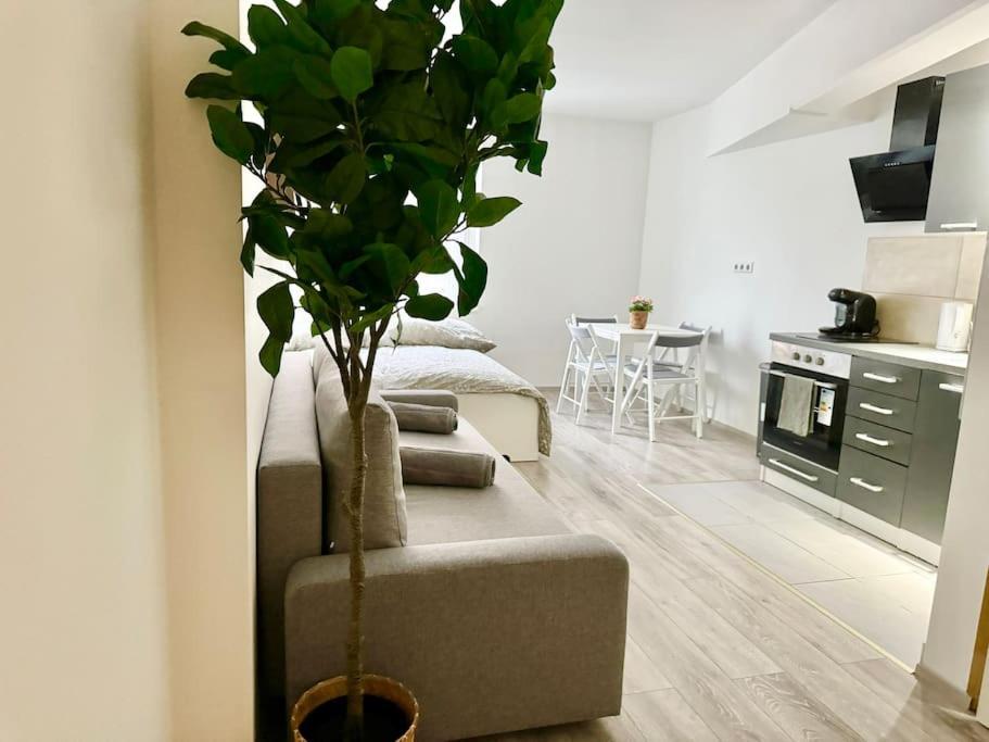 Stylish Schonbrunn Apartments - Free Underground Parking ウィーン エクステリア 写真