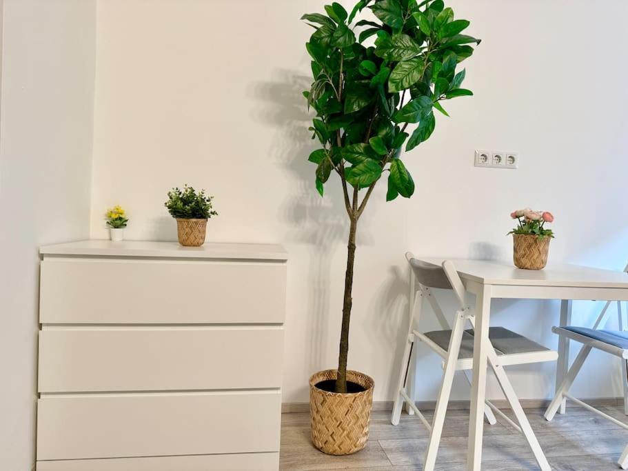 Stylish Schonbrunn Apartments - Free Underground Parking ウィーン エクステリア 写真