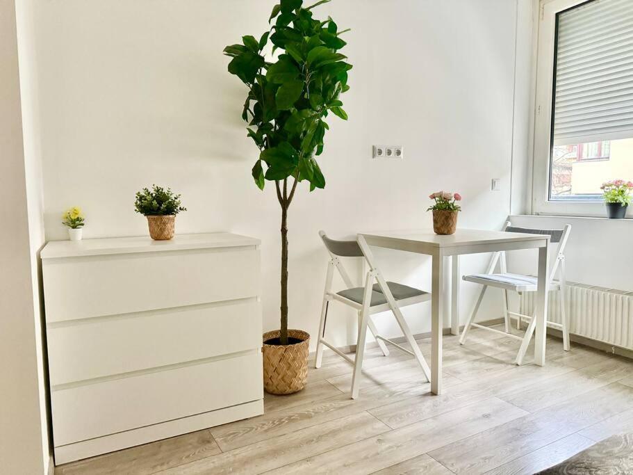 Stylish Schonbrunn Apartments - Free Underground Parking ウィーン エクステリア 写真
